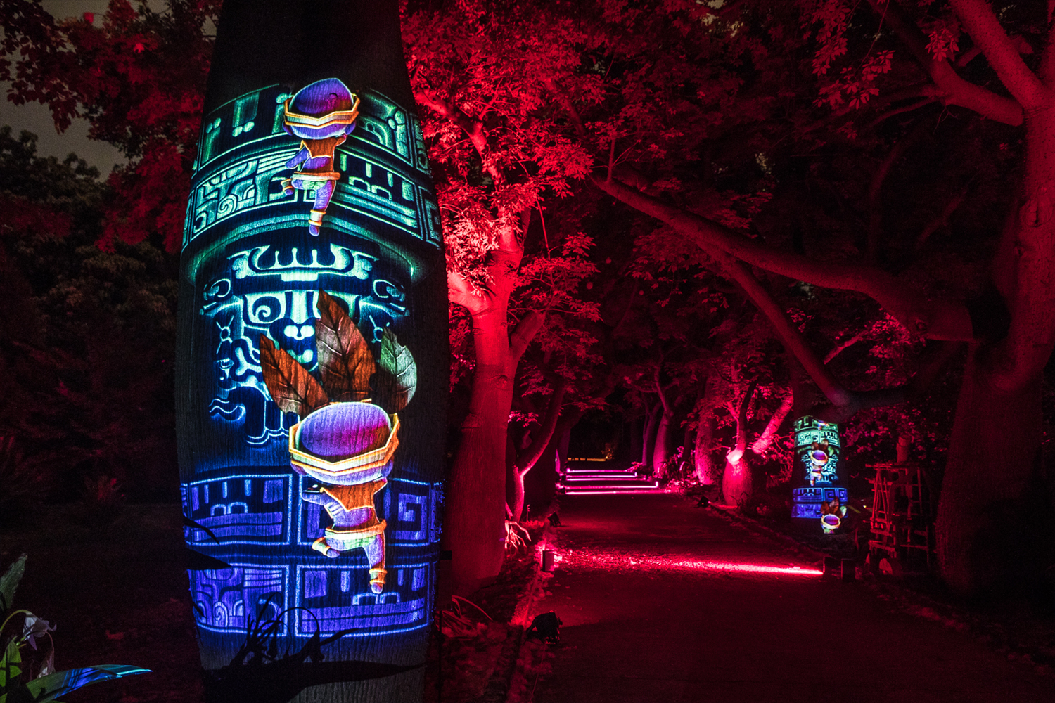 proiezione olografica del sentiero dei falsi kapok illuminato di rosso per anima mundi all'orto botanico di palermo