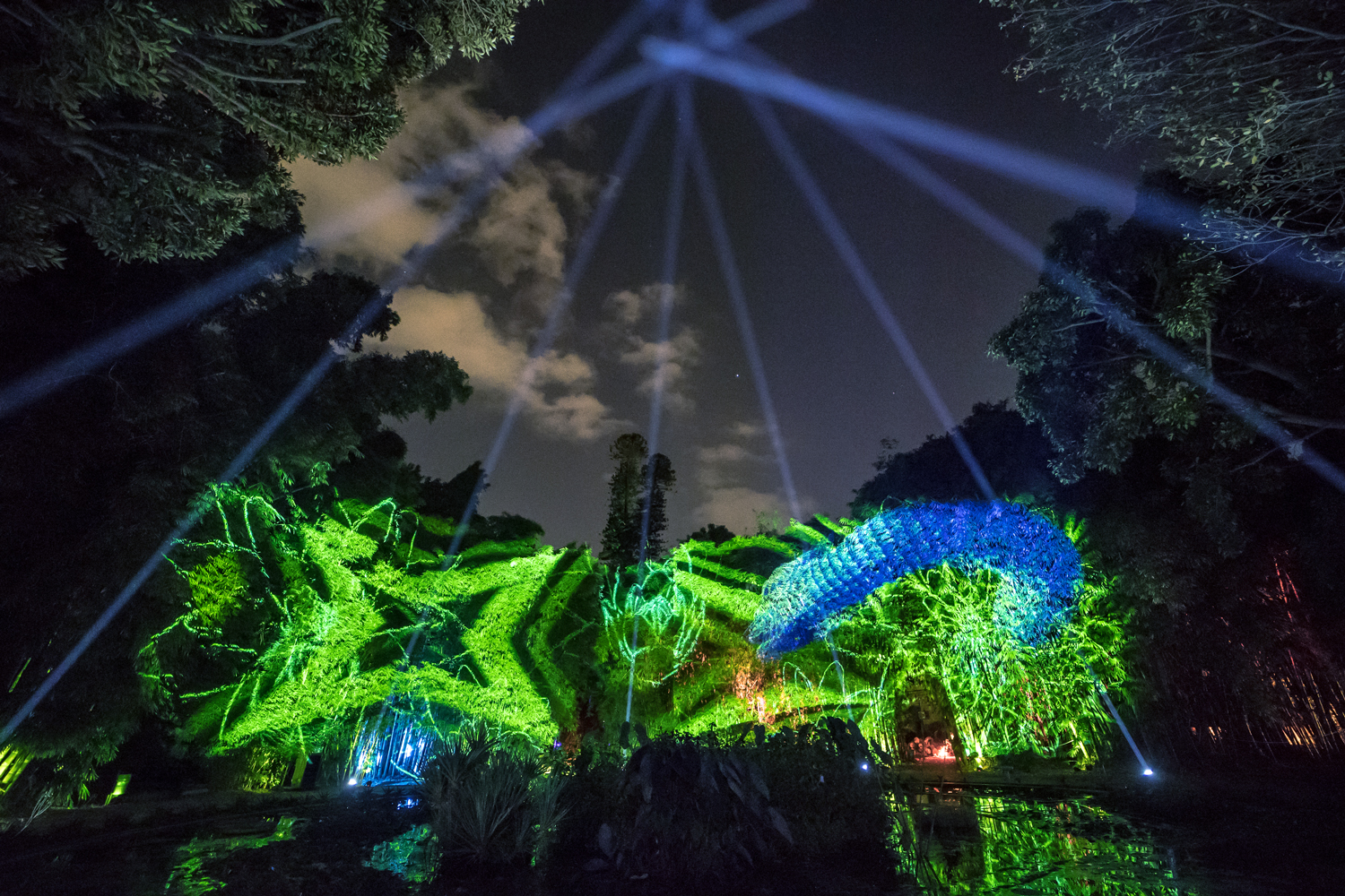 projection mapping che illumina una tappa di anima mundi all'orto botanico e light design