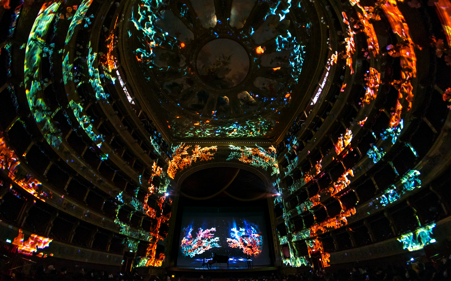 colori del projection mapping immersivo suoni in estinzione nella sala grande del teatro massimo