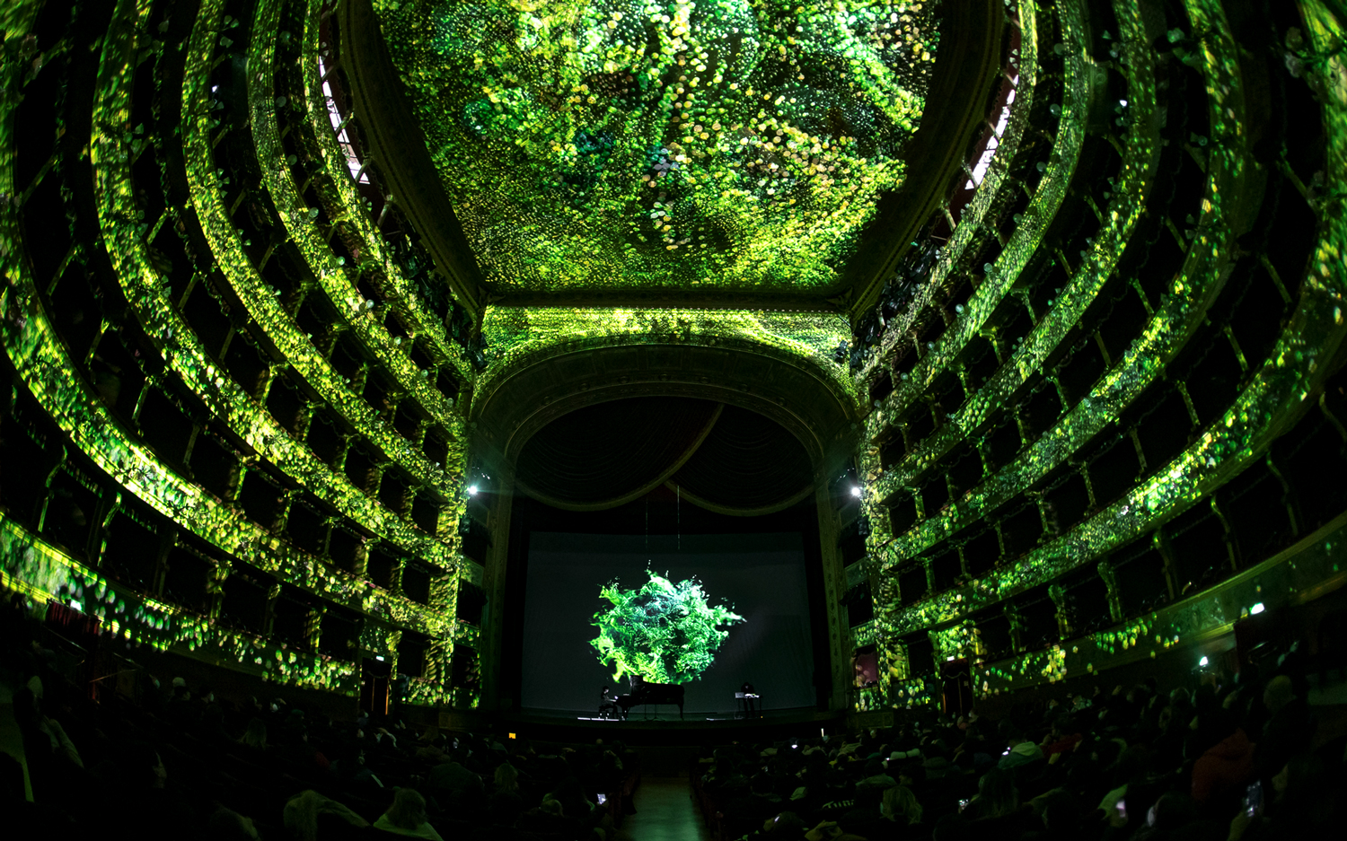 sala grande del teatro massimo si tinge di verde con il projection mapping suoni in estinzione